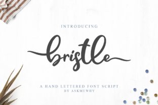 Bristle Font: Elevate Digital Campaigns with Hand-Lettered Script