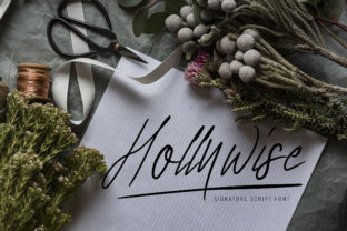 Hollywise Font: Elevating Campaign Visuals with Script