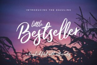 Little Bestseller Font Review: A Handwritten Typeface for Boutique Branding