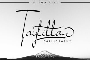 Taylilla Font Review: Elegant Script for Digital Campaigns