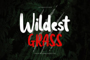 Wildest Grass Font: A Designer’s Branding Test